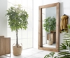 Picture of Mirror Dalibor 224x104 cm Natural Exotic Wood